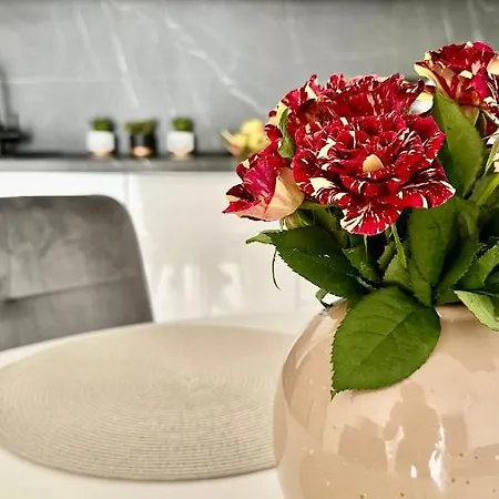 Apartament Elegant 2 Przemyśl Eksteriør bilde